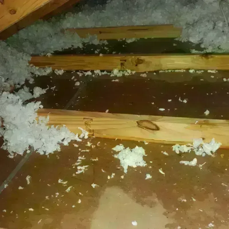 Attic Water Damage in Opal Cliffs, CA