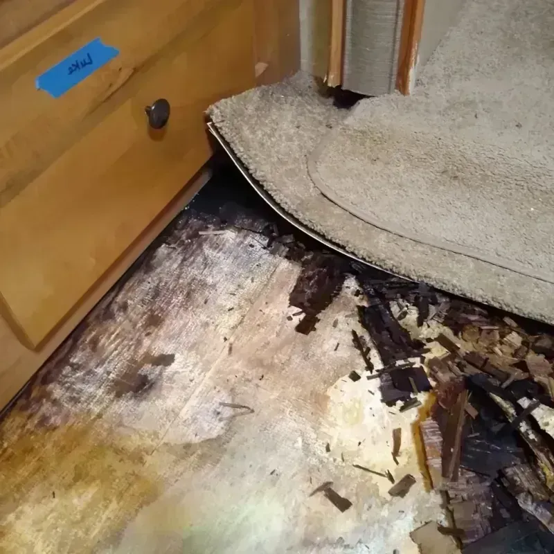 Wood Floor Water Damage in Opal Cliffs, CA